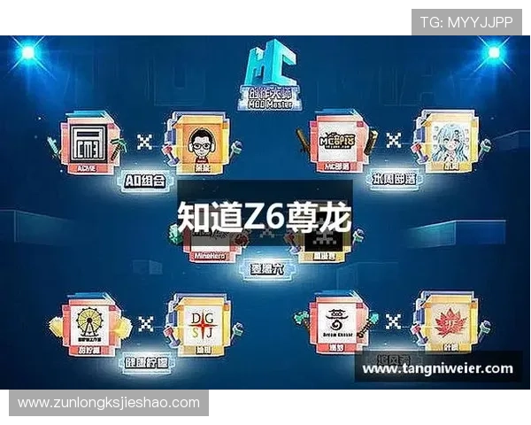 尊龙z6国际站多样化的游戏类型与丰富的娱乐内容介绍