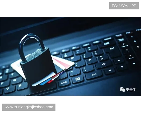 尊龙凯时z6安全登录入口的安全性能优化，确保每次登录都能抵御各种网络攻击