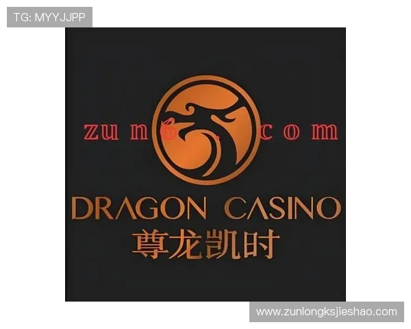 尊龙凯时手机版官网安全保障措施，确保玩家个人信息与资金安全无忧